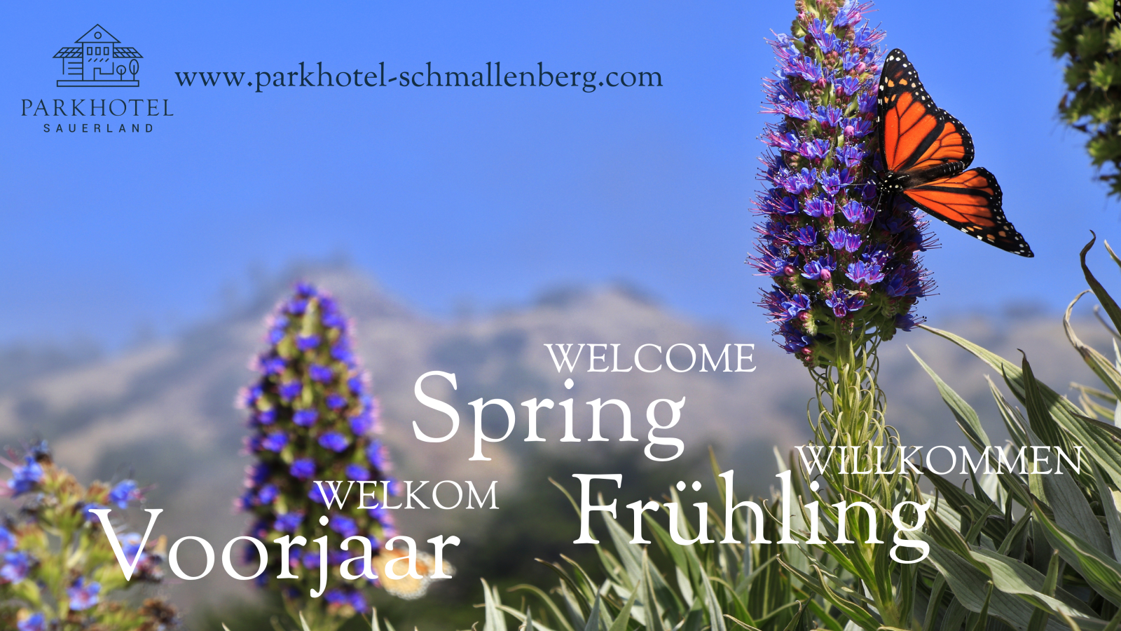 Voorjaars arrangement Parkhotel Schmallenberg (1920x1080) Cropped.png